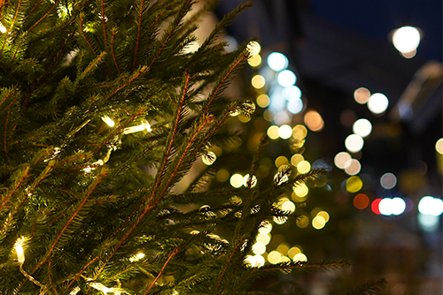 FESTIVE SHOPPING IN MARYLEBONE